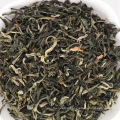 Natural Green jasmine in bloom fresh Flavored chinese tea